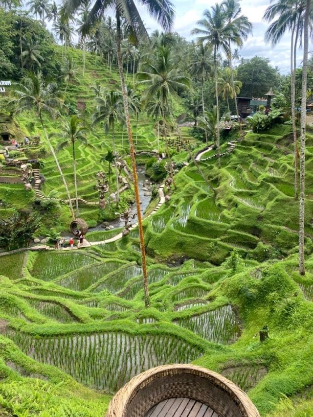 Jatiluwih Rice Terraces