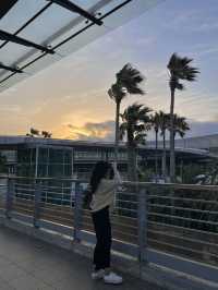 🌿 제주 감성 여행, 바람과 햇살을 담다