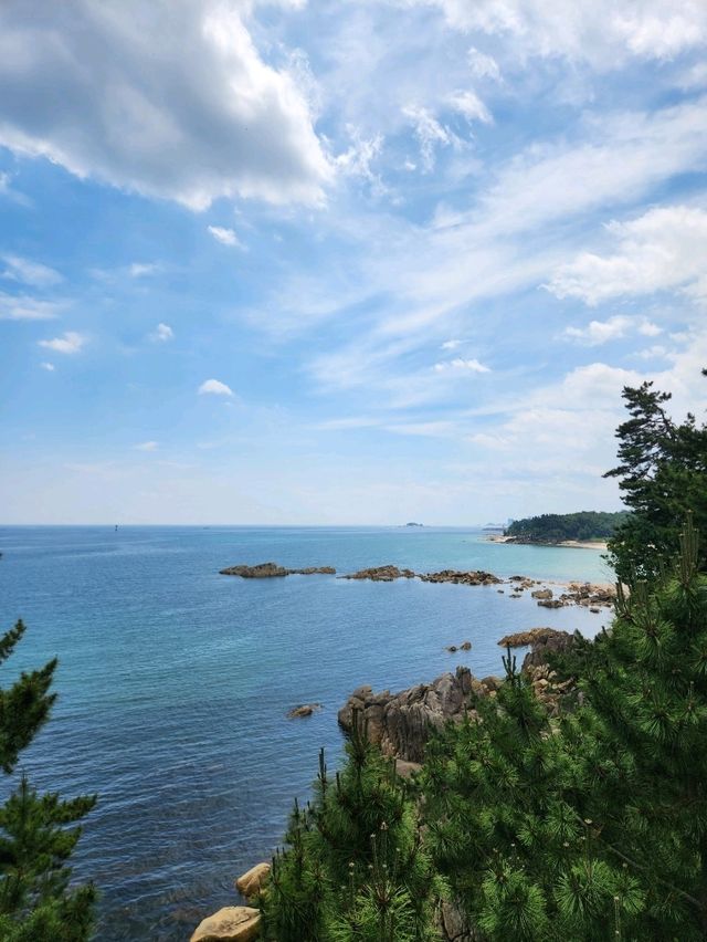 💖동해바다 풍경으로 속이 뻥 뚫리는 강원도고성 "천학정"💖
