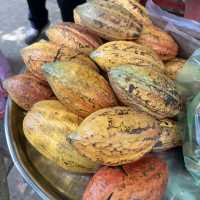Ho Chi minh tour