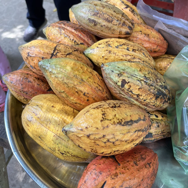 Ho Chi minh tour