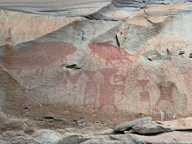 Cave Art & Jungle Vibes