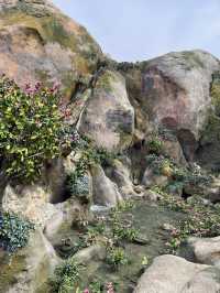Fantasy Springs Tokyo Disneysea 🐠