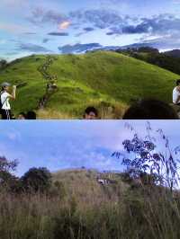 Nature’s Reset: Reconnecting with Simplicity at Broga Hill