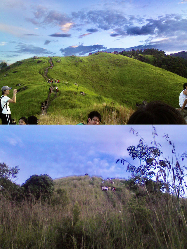 Nature’s Reset: Reconnecting with Simplicity at Broga Hill