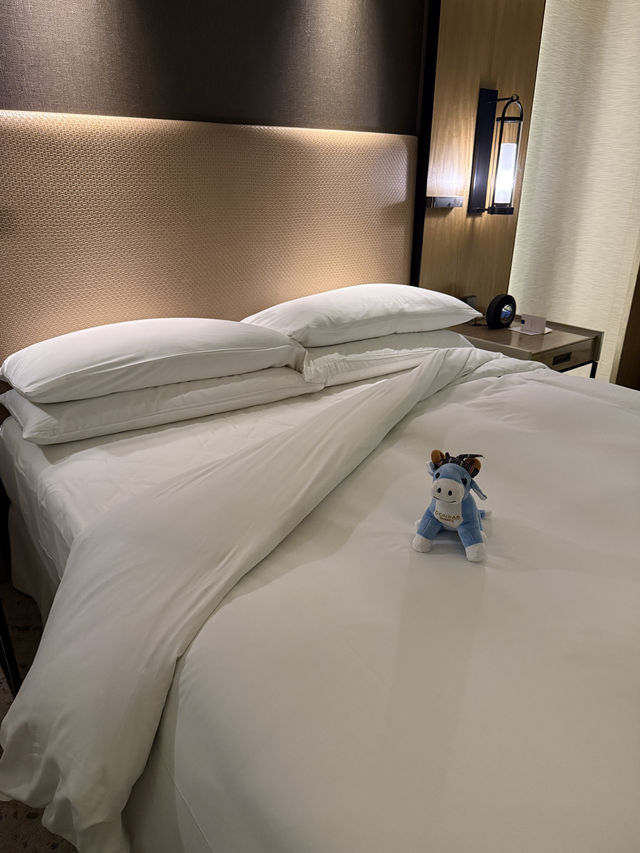 Luxury Stay in Pasay City 🇵🇭