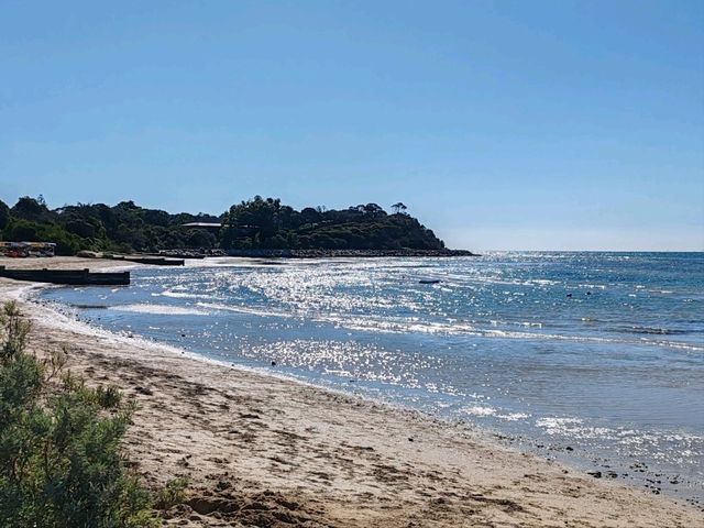 Cameron's Bight Boat Club：彩虹船与航海传奇