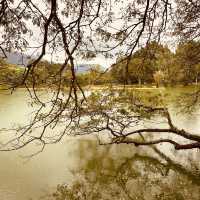 Taman Tasik Taiping: A Misty Summer Morning in Malaysia’s Oldest Garden