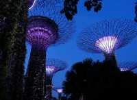 Gardens by the Bay.