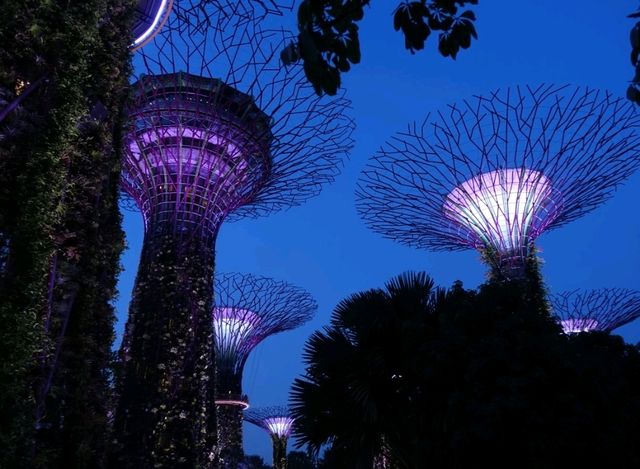 Gardens by the Bay.