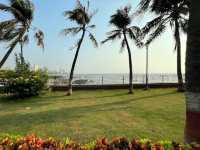 Jogger's Park