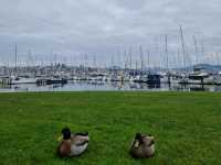 6 Days in Hobart
