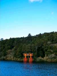 A Stunning Sight at Hakone Shrine’s Torii Gate
