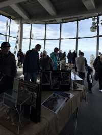 Mt Wellington - Tasmania 