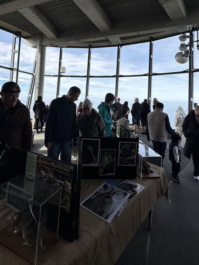 Mt Wellington - Tasmania 