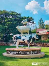 จุดเช็คอินสวนผึ้งที่ห้ามพลาด‼️the scenery vintage 