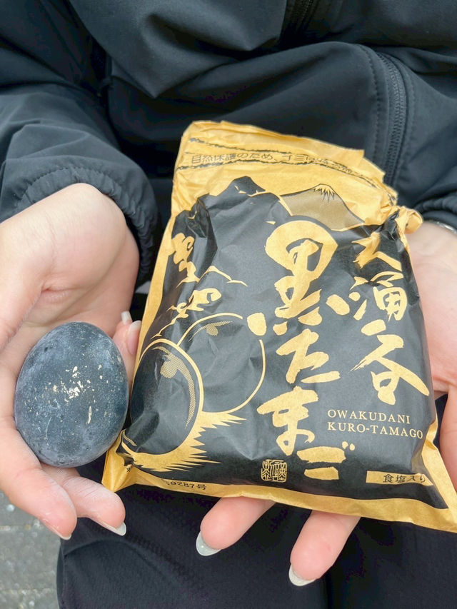 箱根必吃黑蛋在這！搭纜車賞地熱景超震撼🚡