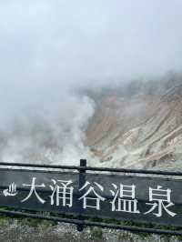 箱根必吃黑蛋在這！搭纜車賞地熱景超震撼🚡