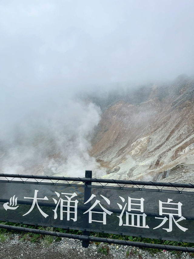 箱根必吃黑蛋在這！搭纜車賞地熱景超震撼🚡