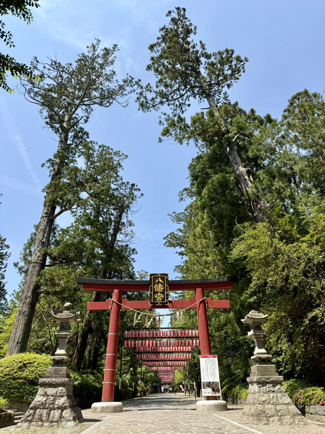 仙台｜国宝 大崎八幡宮