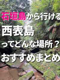 【完全版】西表島観光＆アクセス＆注意点ぜんぶまとめ