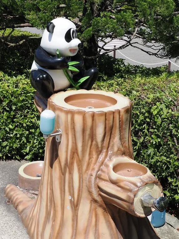 パンダに癒される！アドベンチャーワールドで過ごす感動の1日