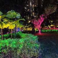 A Night Under The Stars at Luna Wonderland