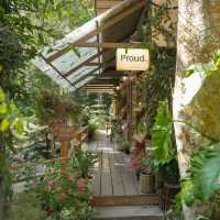 รวมคาเฟ่แม่กำปอง
