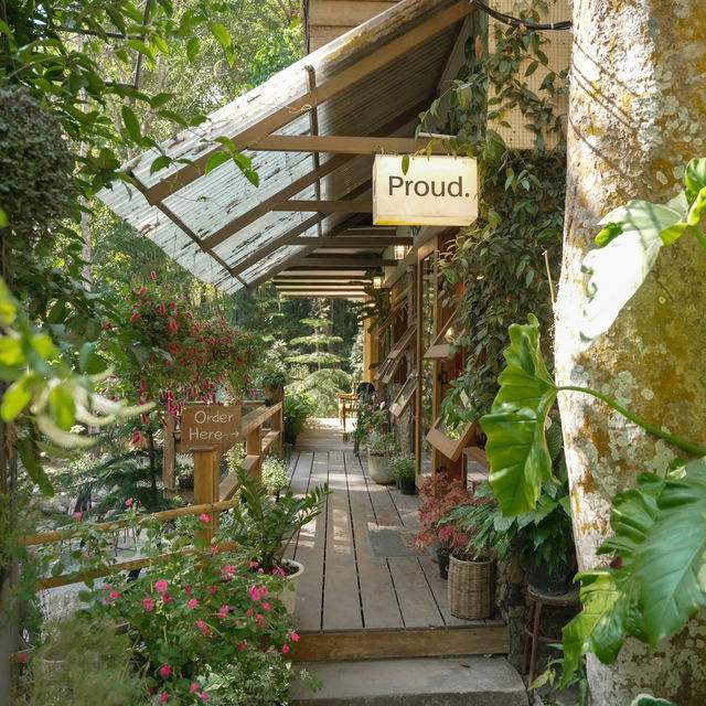 รวมคาเฟ่แม่กำปอง