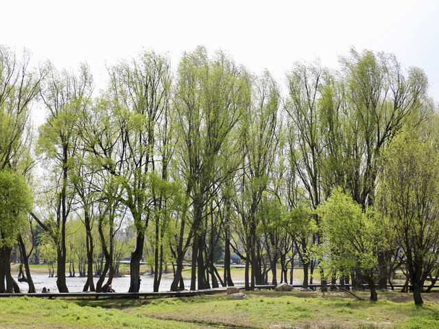 One fine day at Erhai lake in Dali!