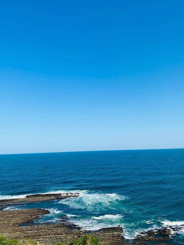 【宮崎】南国絶景を満喫🌴日南海岸ドライブで癒しの旅🚗