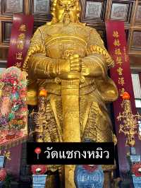  ฮ่องกง มีเวลาแค่วันเดียวก็เที่ยวได้! 🇭🇰