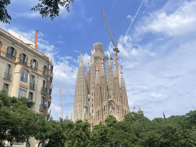 【スペイン】バルセロナおすすめスポット🇪🇸