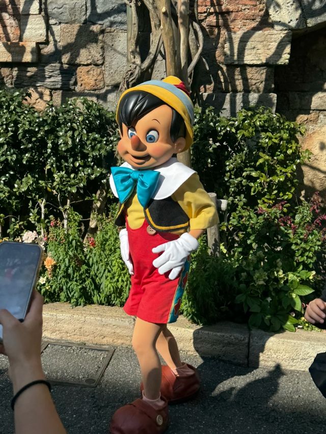 Tokyo DisneySea: Japan’s Hidden Gem of Imagination