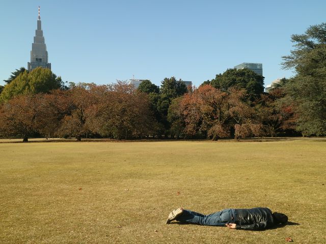 極品景點：四季皆美的東京城市綠洲