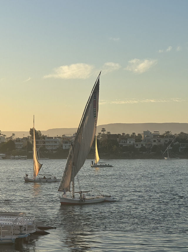 The Nile: Sewage & Sacrifice