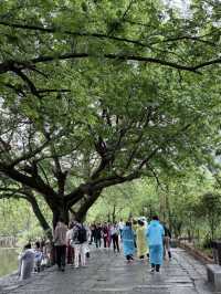 Crouching Dragon, Hidden Village: The Magic of Hongcun