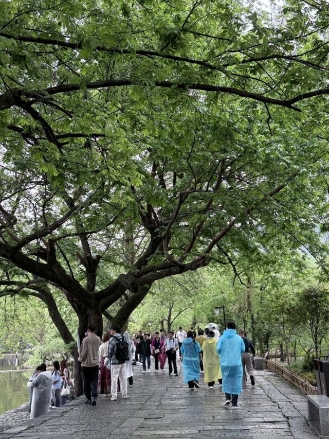 Crouching Dragon, Hidden Village: The Magic of Hongcun