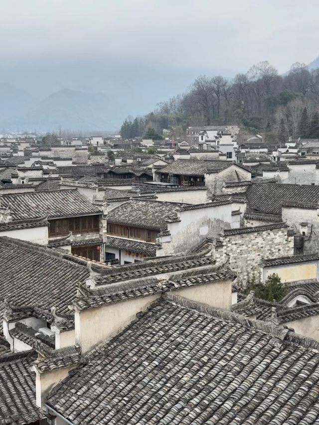 Hongcun: The Living Canvas of Chinese Heritage