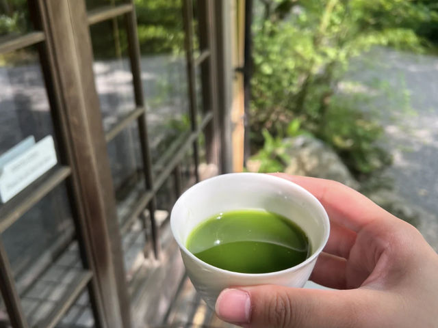 Kyoto: Arashiyama Bamboo Grove & A Taste of Kyoto! 🎋🍜