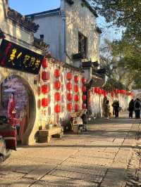 Wander the Waters of beautiful Hongcun