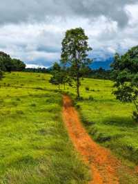 วิ่งสูดอากาศบริสุทธิ์แบบ 360 องศา ที่เขาใหญ่