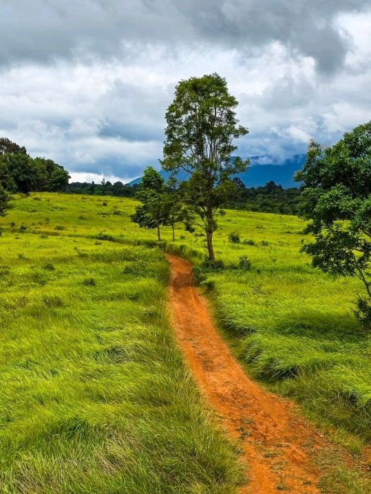 วิ่งสูดอากาศบริสุทธิ์แบบ 360 องศา ที่เขาใหญ่