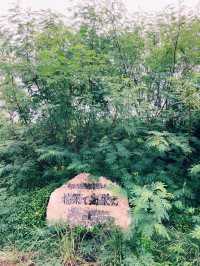 📍 来間大橋展望台