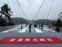 Walking on Air: The Thrill of Zhangjiajie Glass Bridge