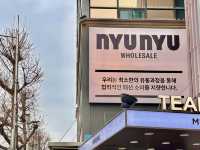 패션 잡화 쇼핑의 집합제 서울 동대문 필수코스 뉴뉴