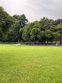 粉牛樂園-嘉義熱門景點