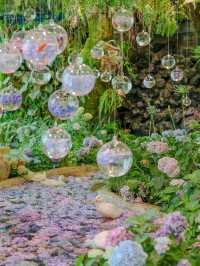 Hangzhou West Lake｜Indoor Monet Garden with Hydrangea Sea & Misty Aquarium 🌸🌿