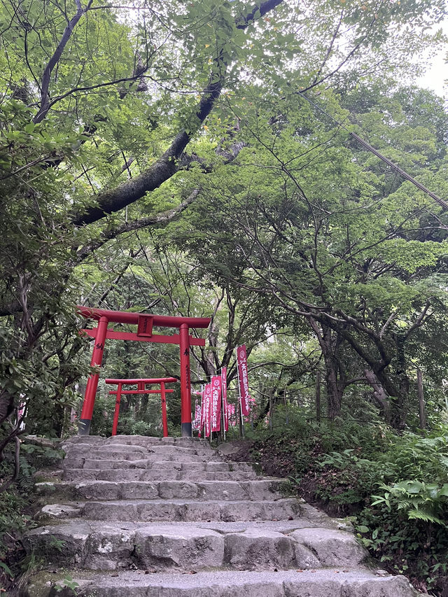Guide to be able to take pictures of Dazaifu Shrine without the crowd!