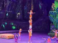 QUICK CHIMELONG GUANGZHOU + CITY TOUR!!!